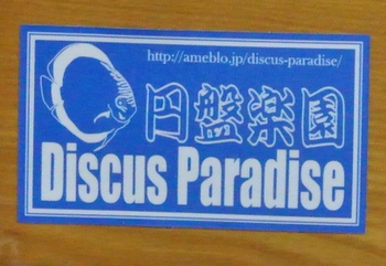 discus_paradise.jpg